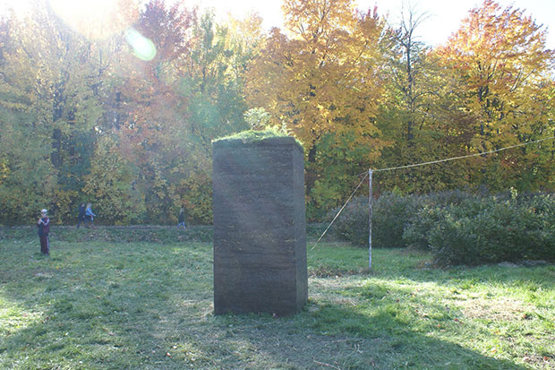 Sculpture de Christopher Varady-szabo : Soulèvement  Créations sur-le-champ land art Mont Saint-Hilaire, Québec 2016